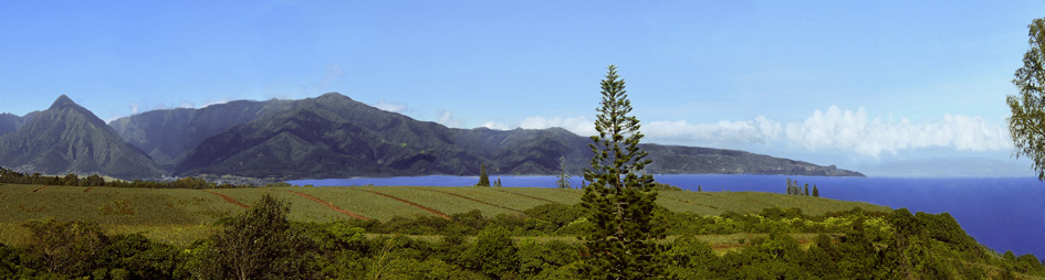 Click here for a panormaic view from Hookipa Bayview cottage.